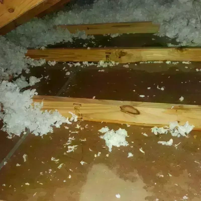 Attic Water Damage in Elgin, TX