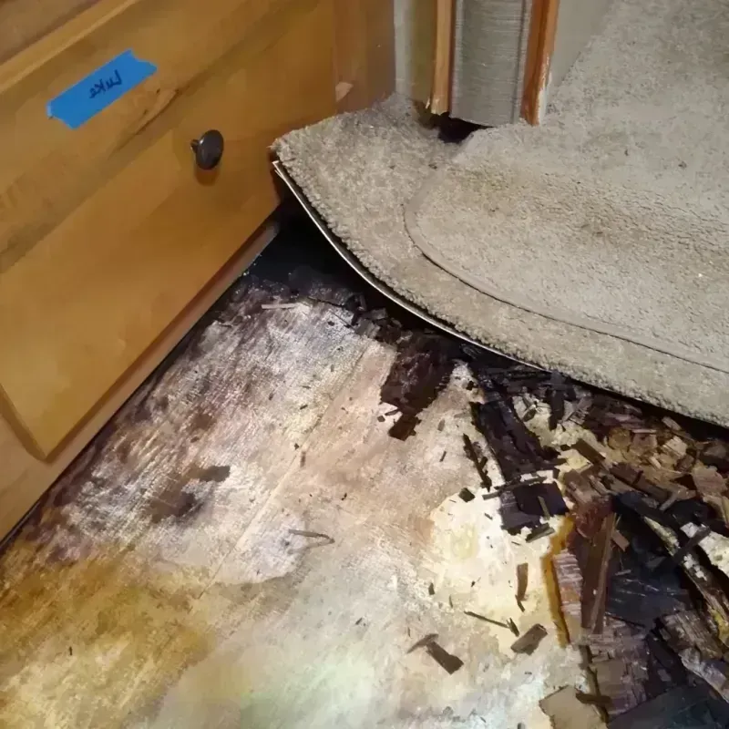 Wood Floor Water Damage in Elgin, TX